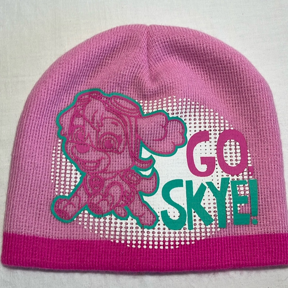 Paw Patrol Skye toque/winter hat